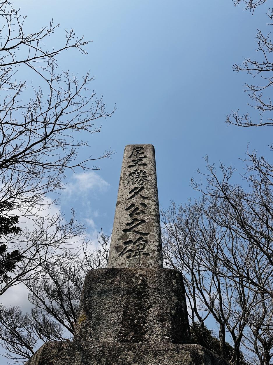 真山城
