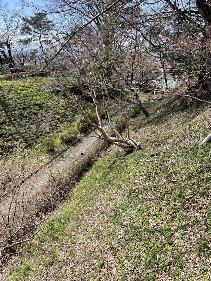 佐野城