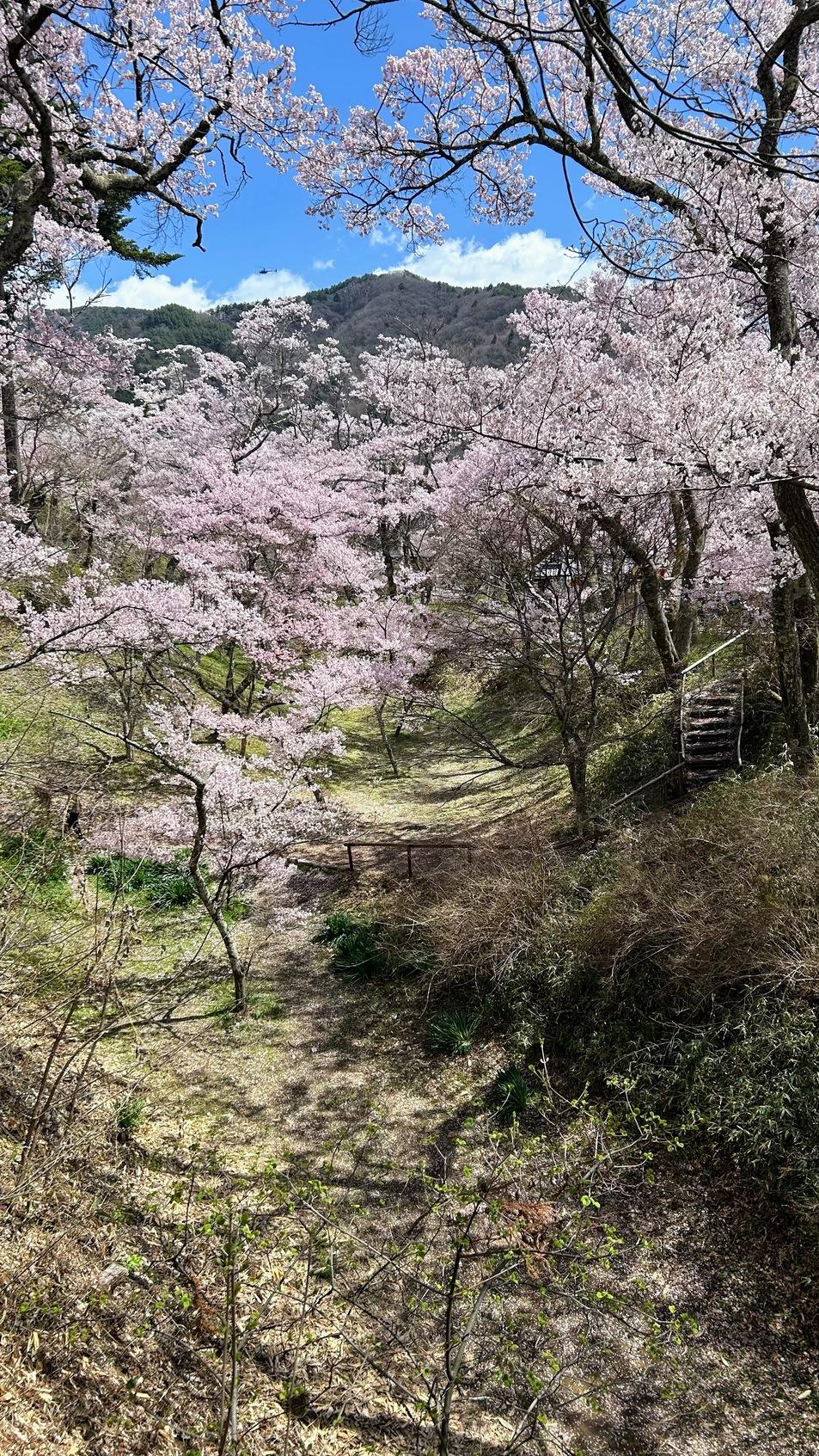 高遠城
