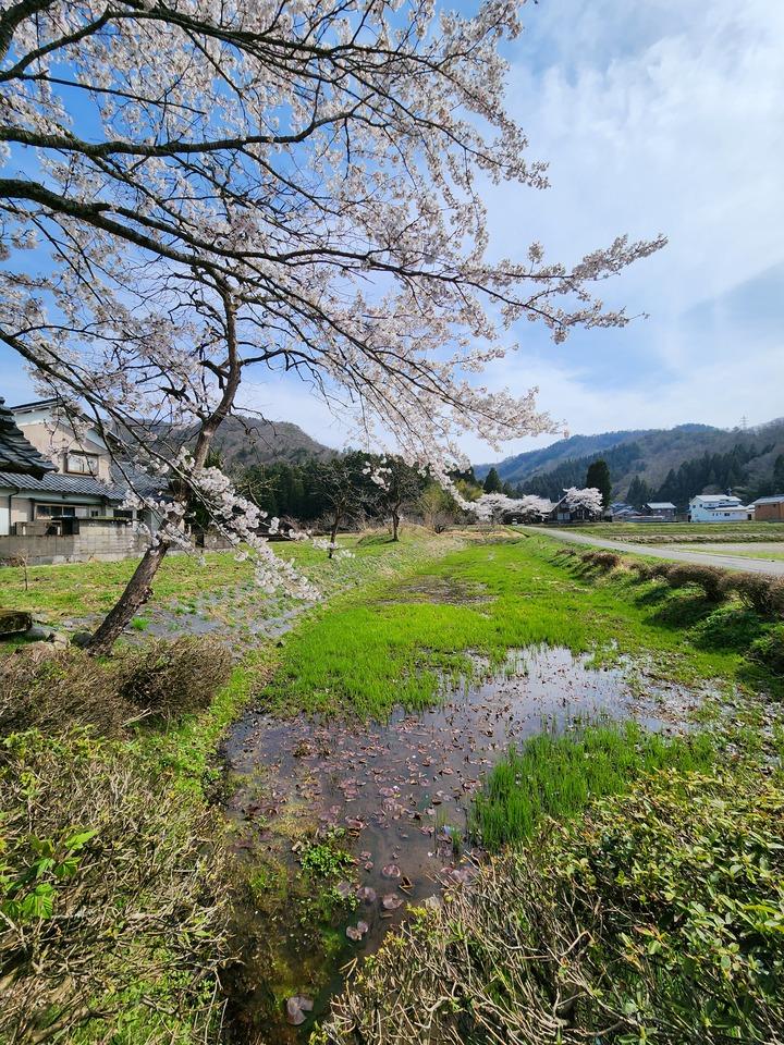 杣山城