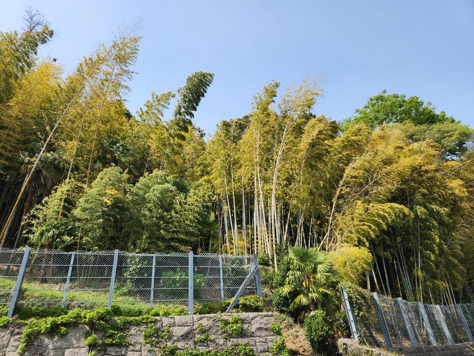 荏田城