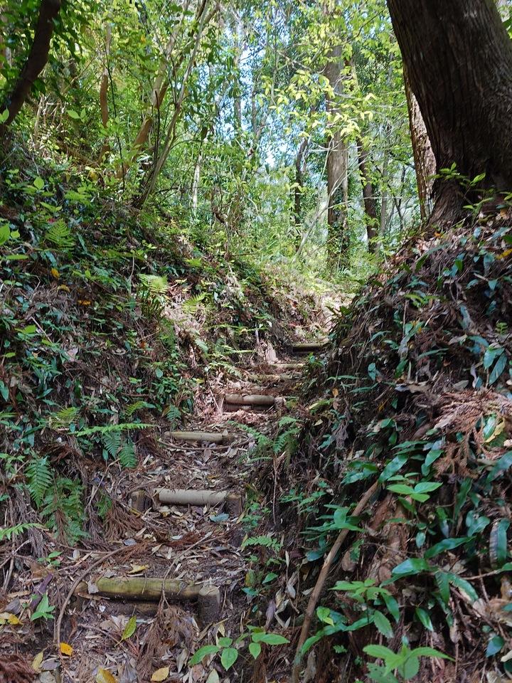 志布志城