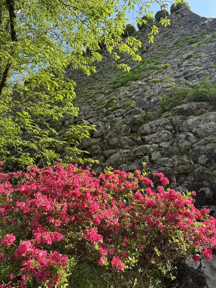 延岡城