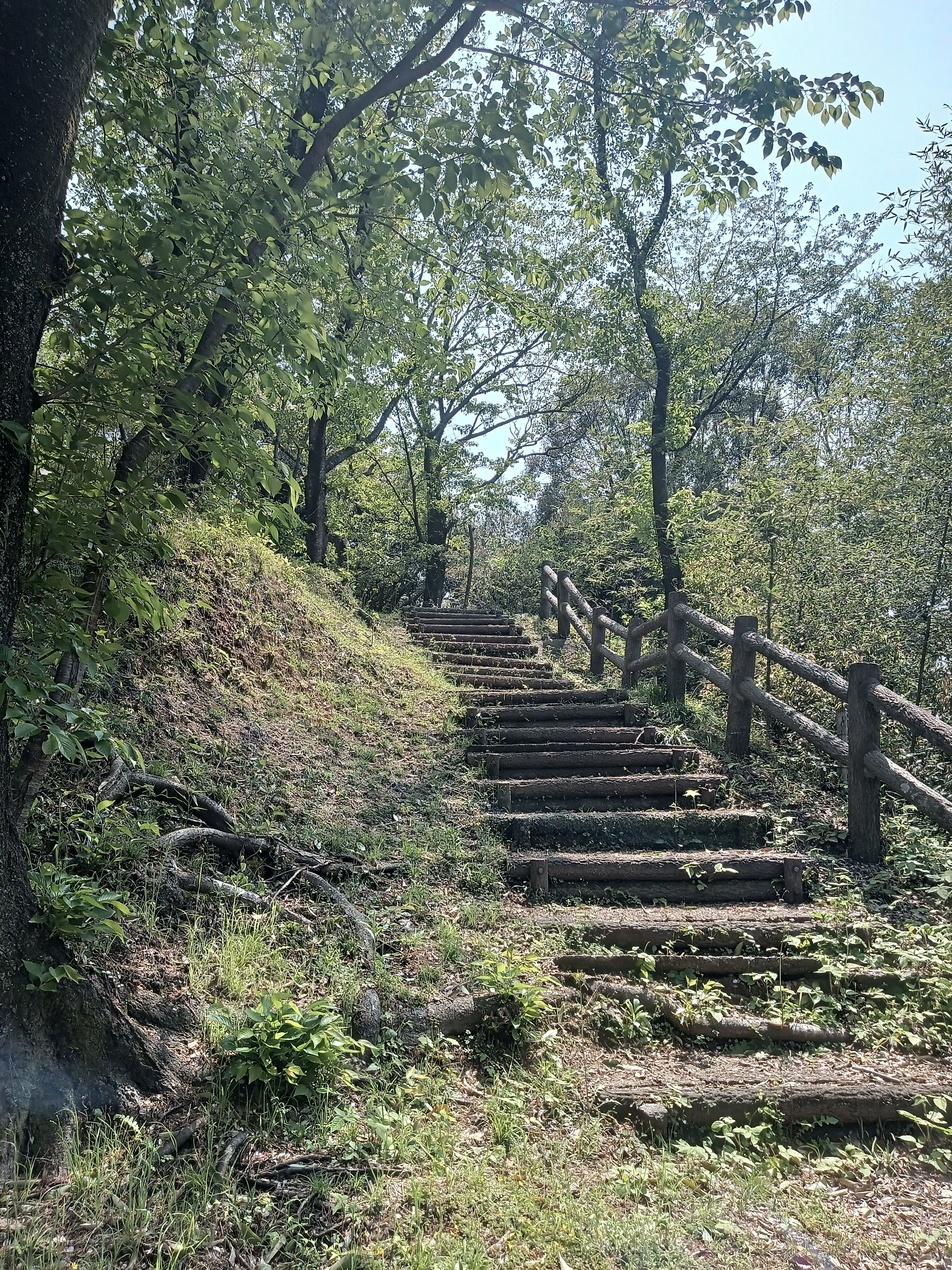 竹崎城