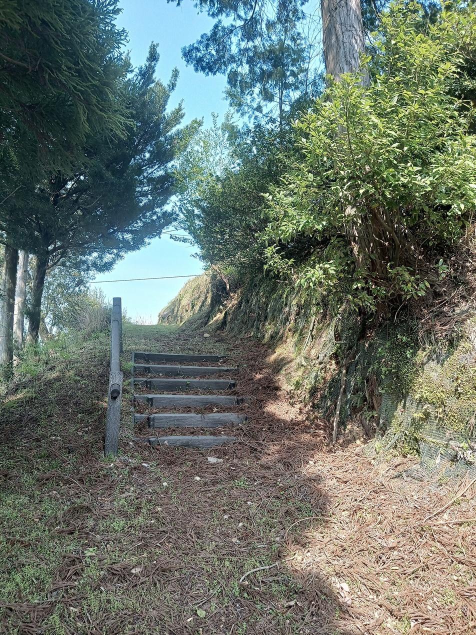 黒淵城