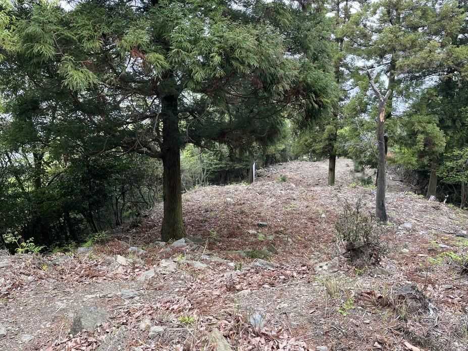 松尾城