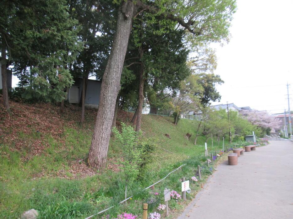 井田城
