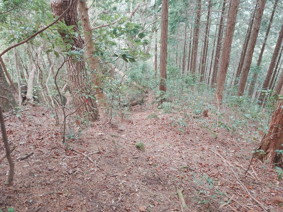 田尻城