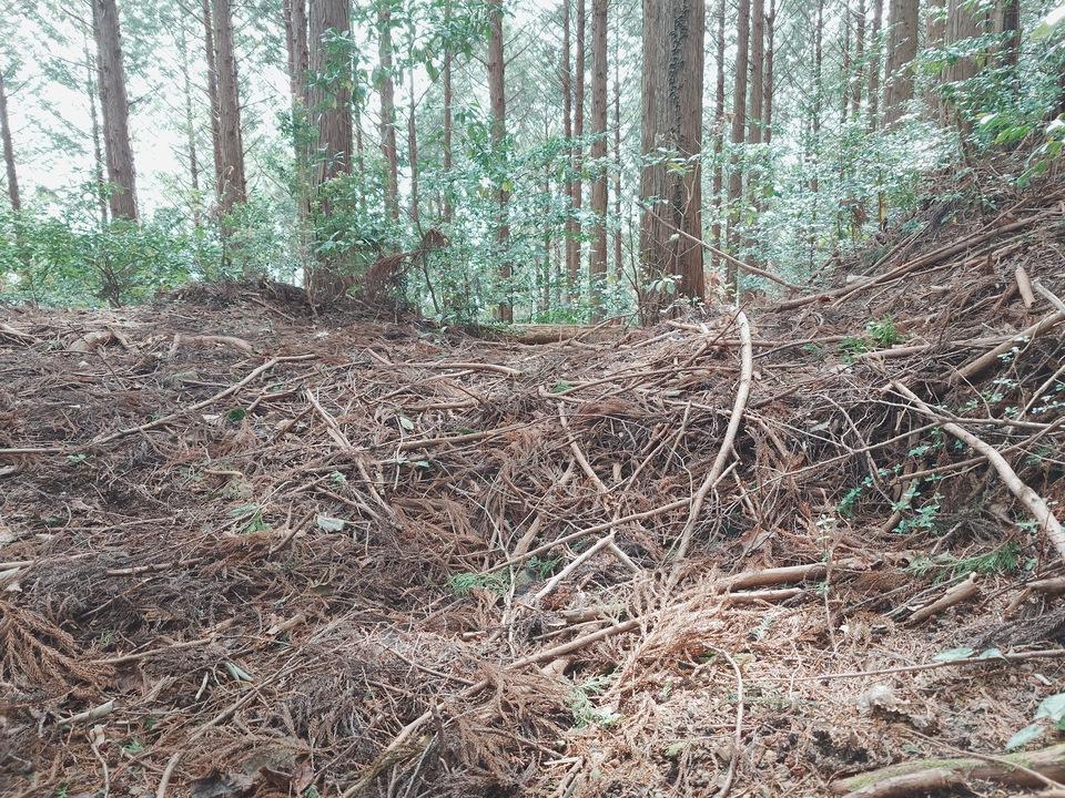 田尻城