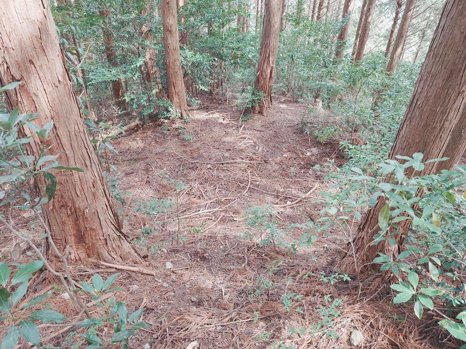 田尻城