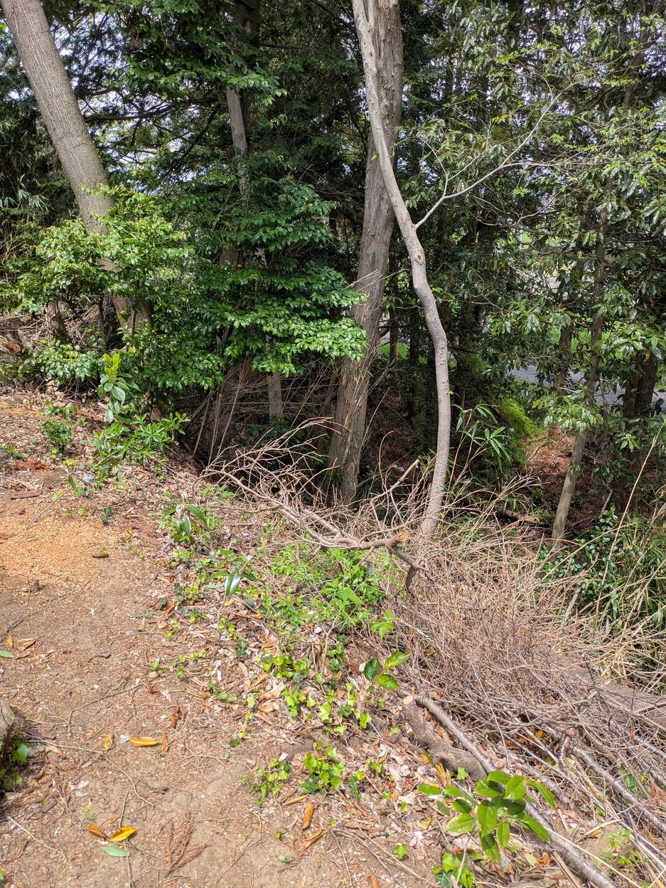 石岡城