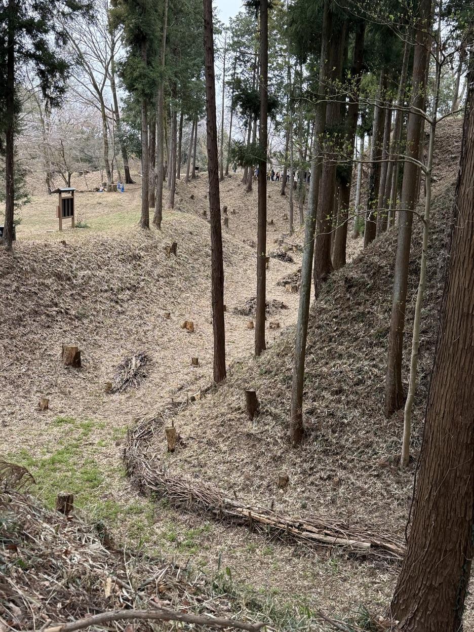 滝山城