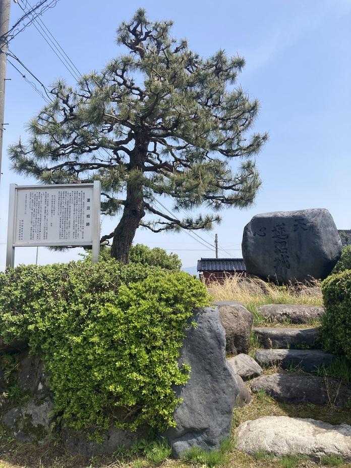 蓮沼城