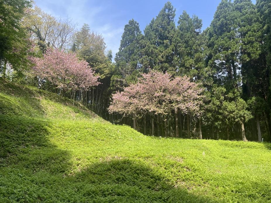 森寺城