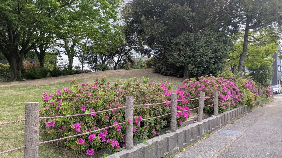 押野館