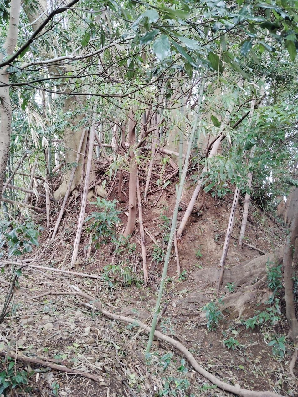 横岡城