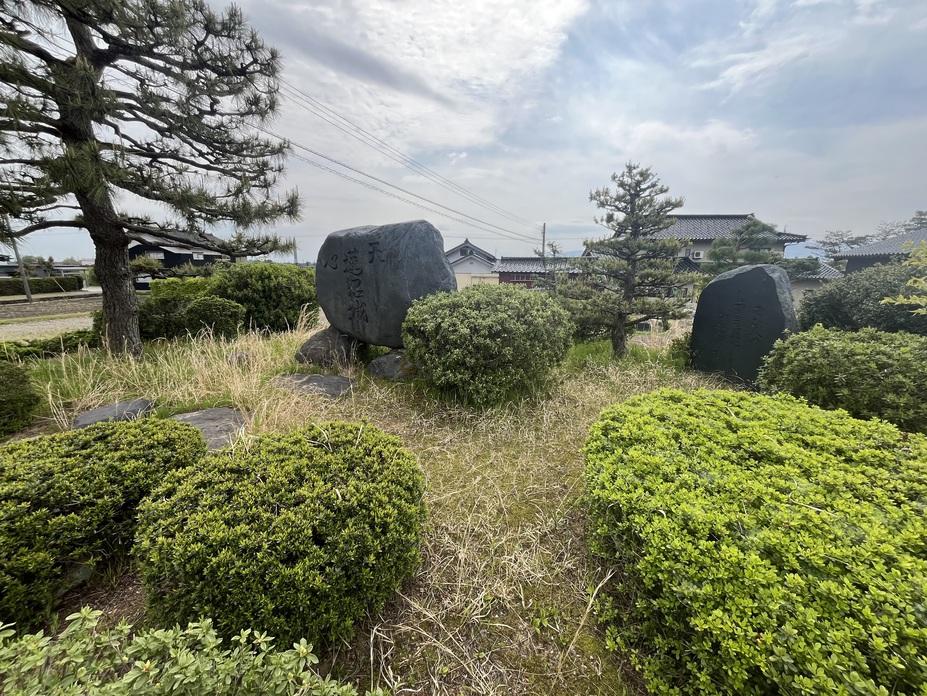 蓮沼城