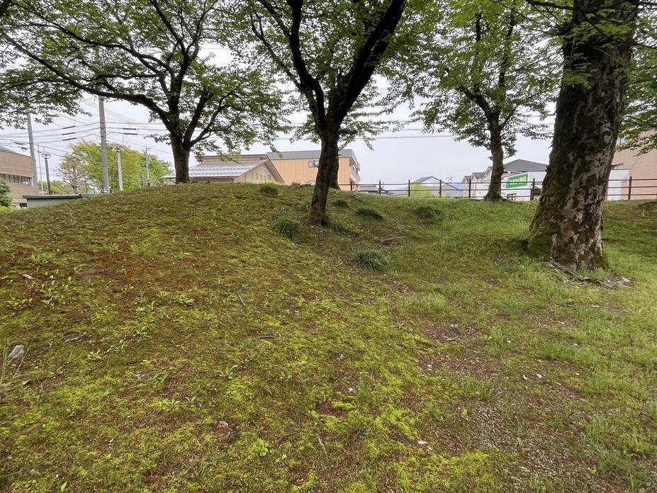 寺家新屋敷館