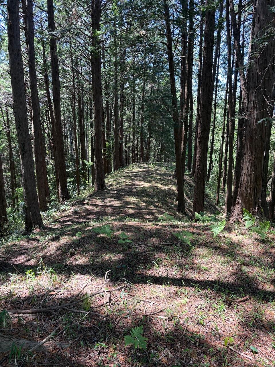 菊川城館