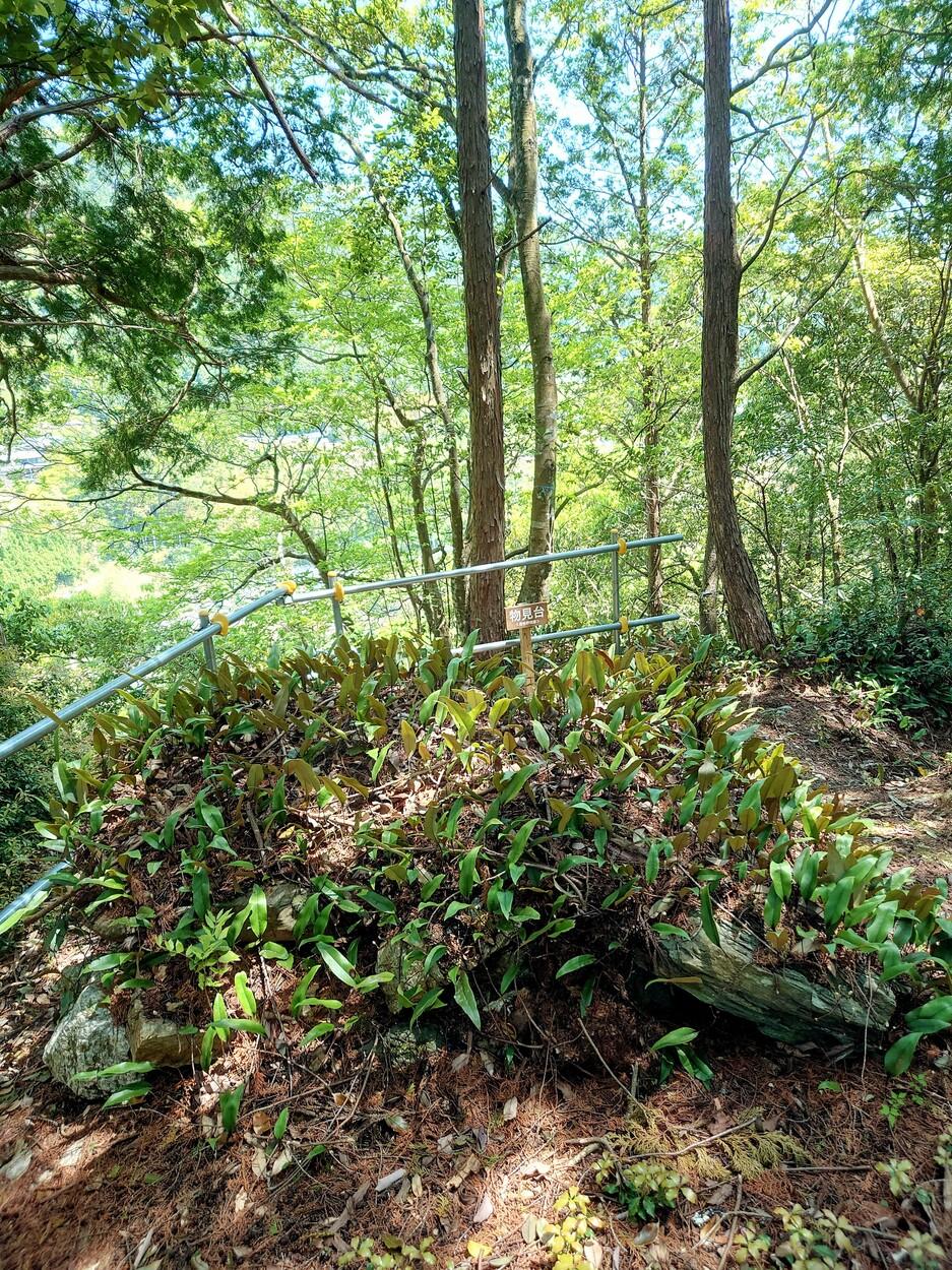 居倍野城