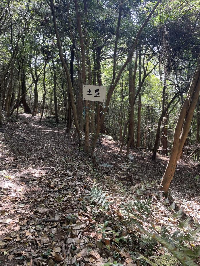 城山