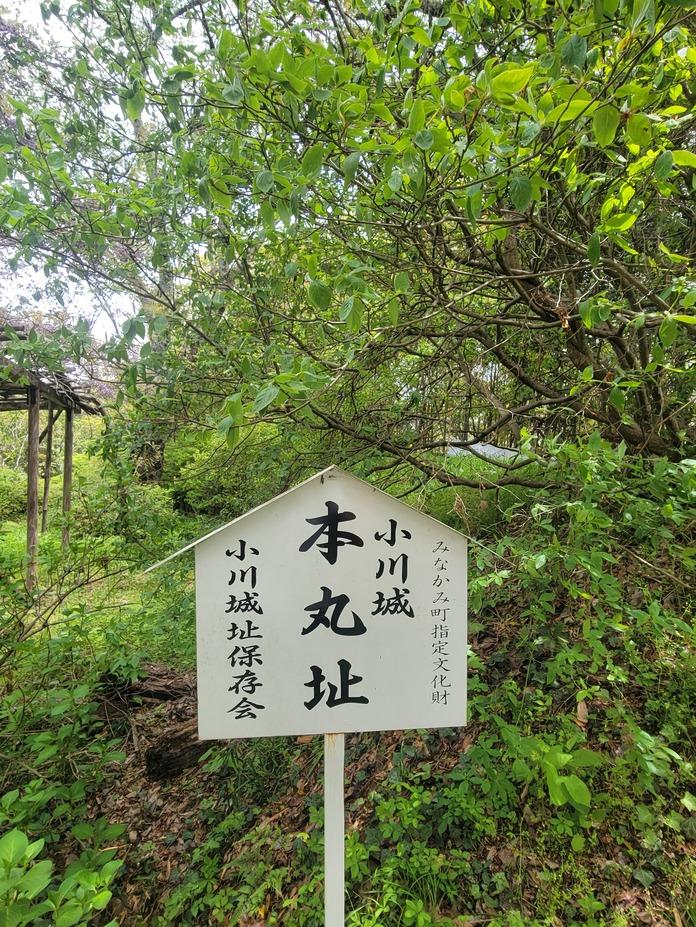 小川城