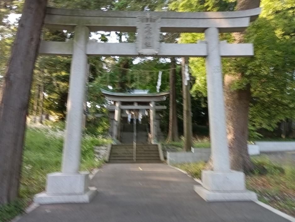 岡津城