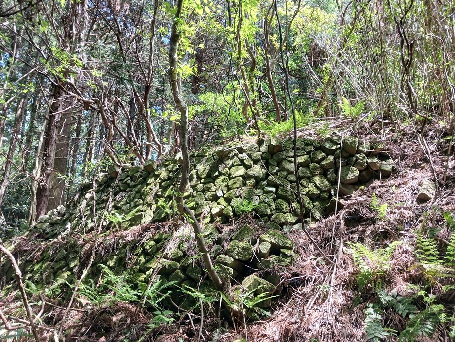 茶臼山城