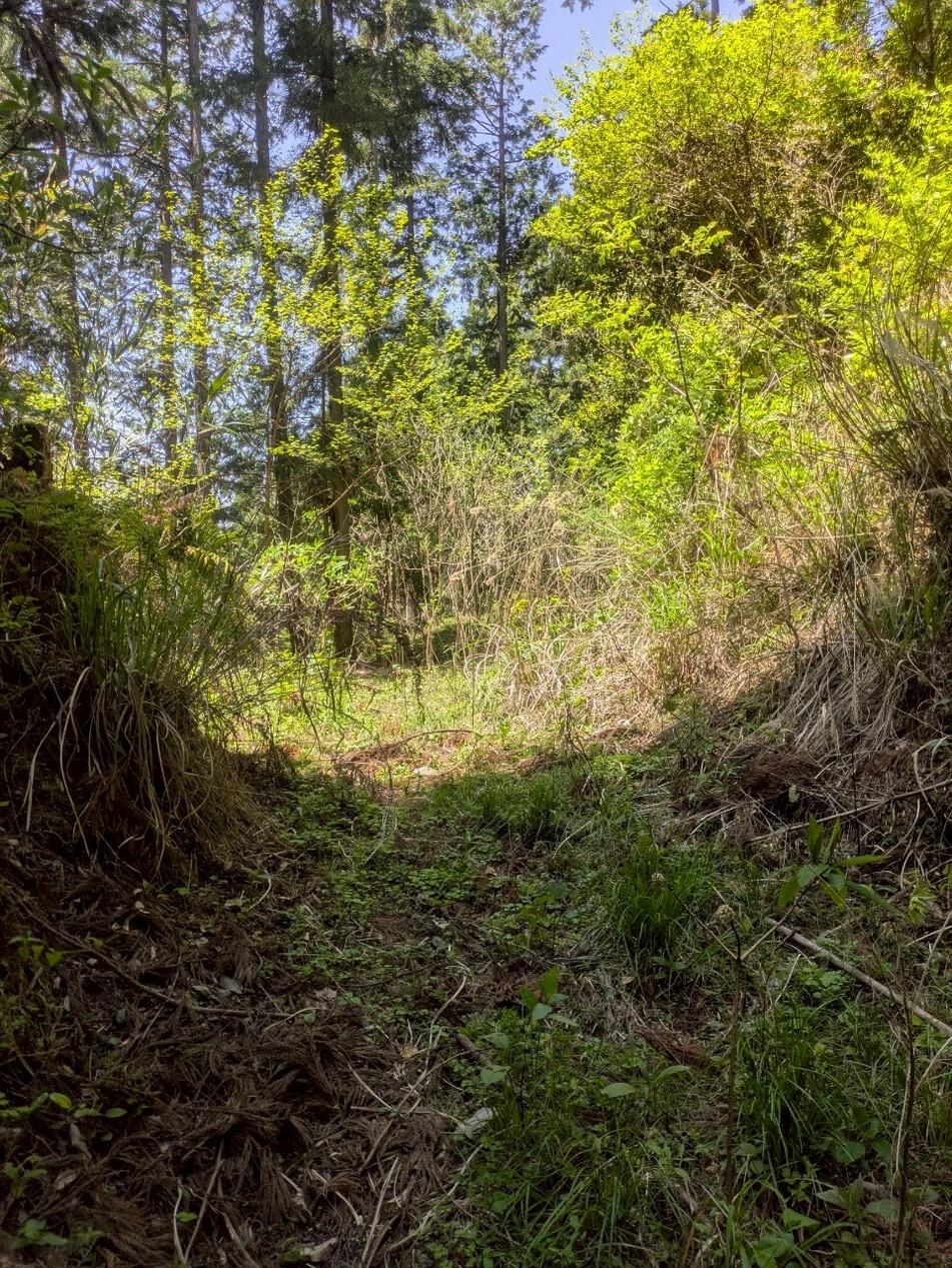 居倍野城