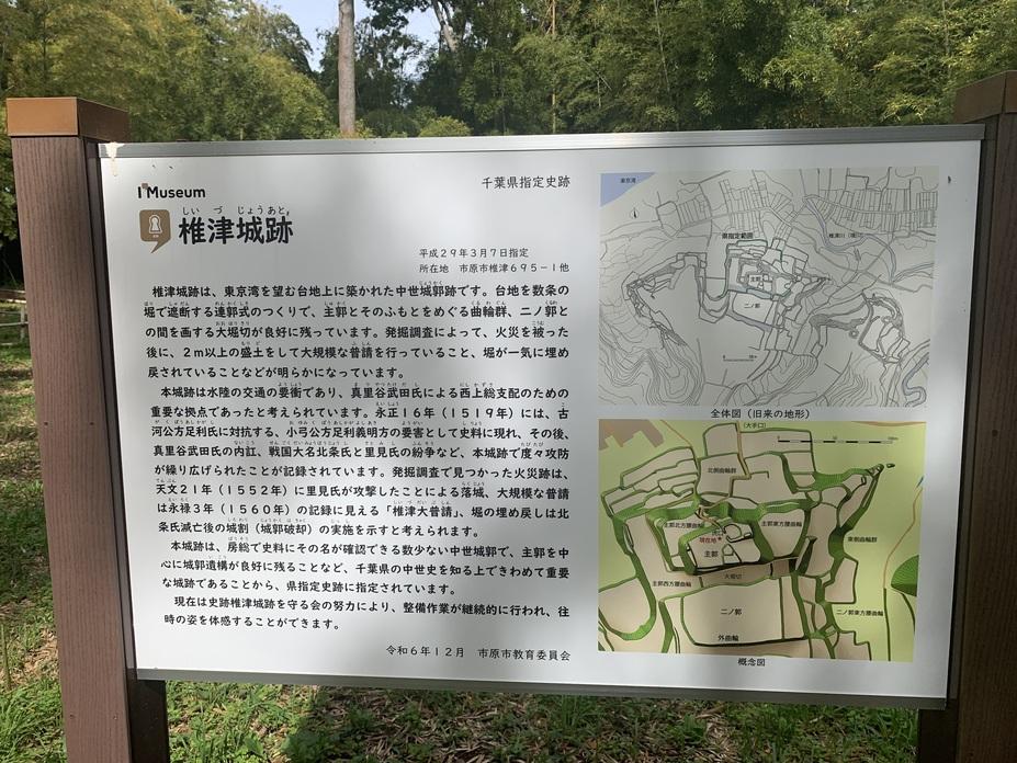 椎津城