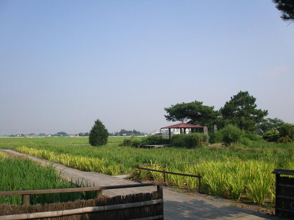 菖蒲城