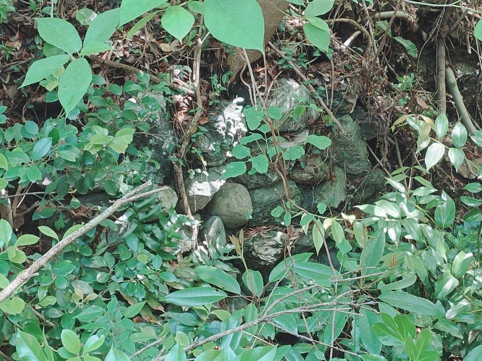 坂手村砲台