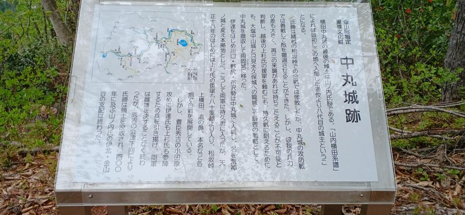 中丸城