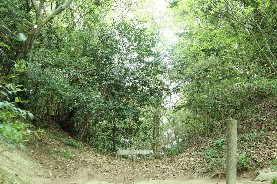 岩屋城