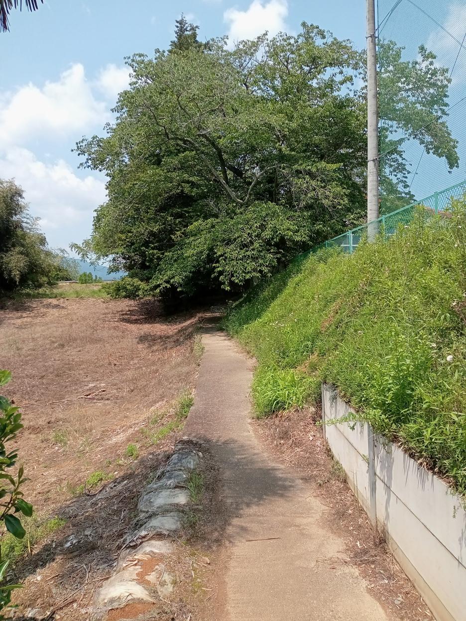 柿岡城