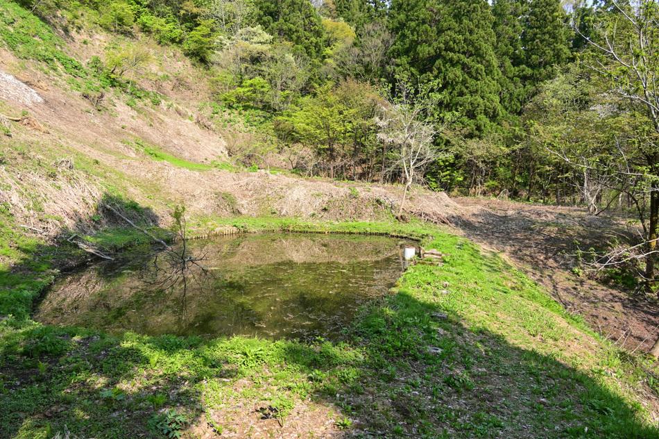 直峰城