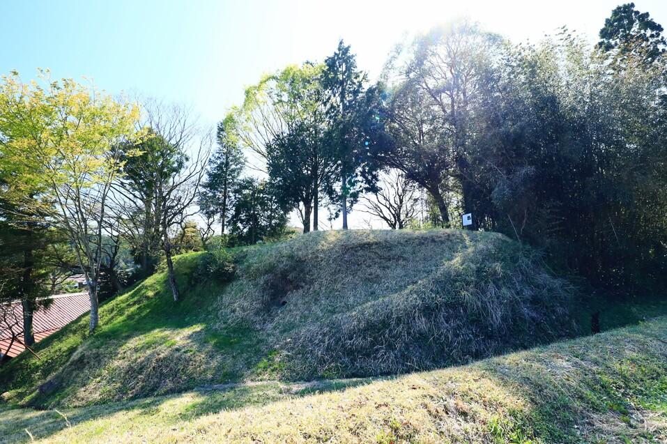 枝ノ城