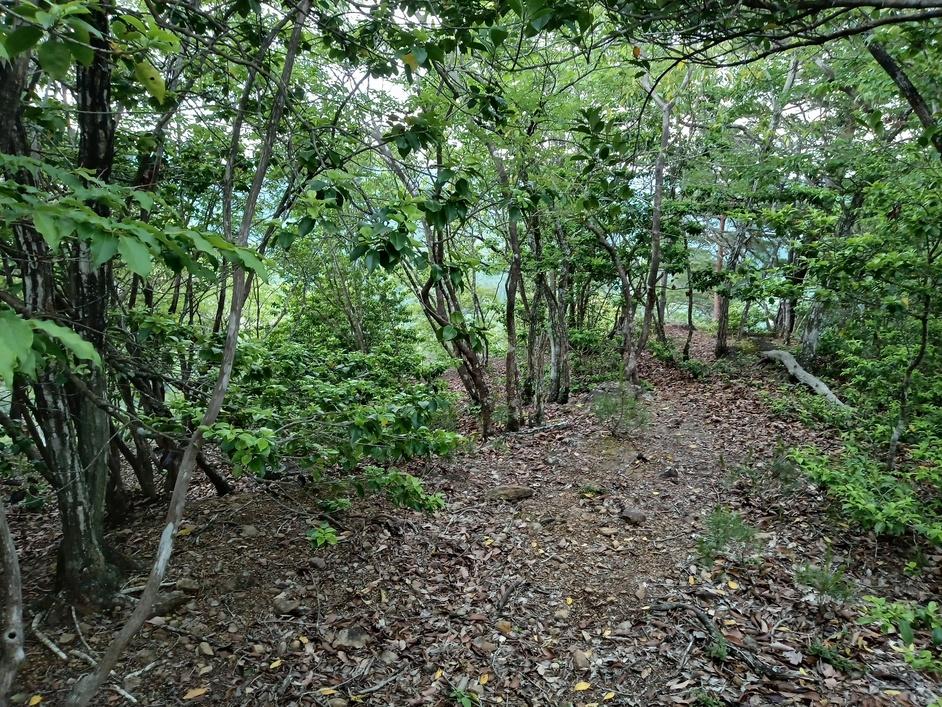 松尾城