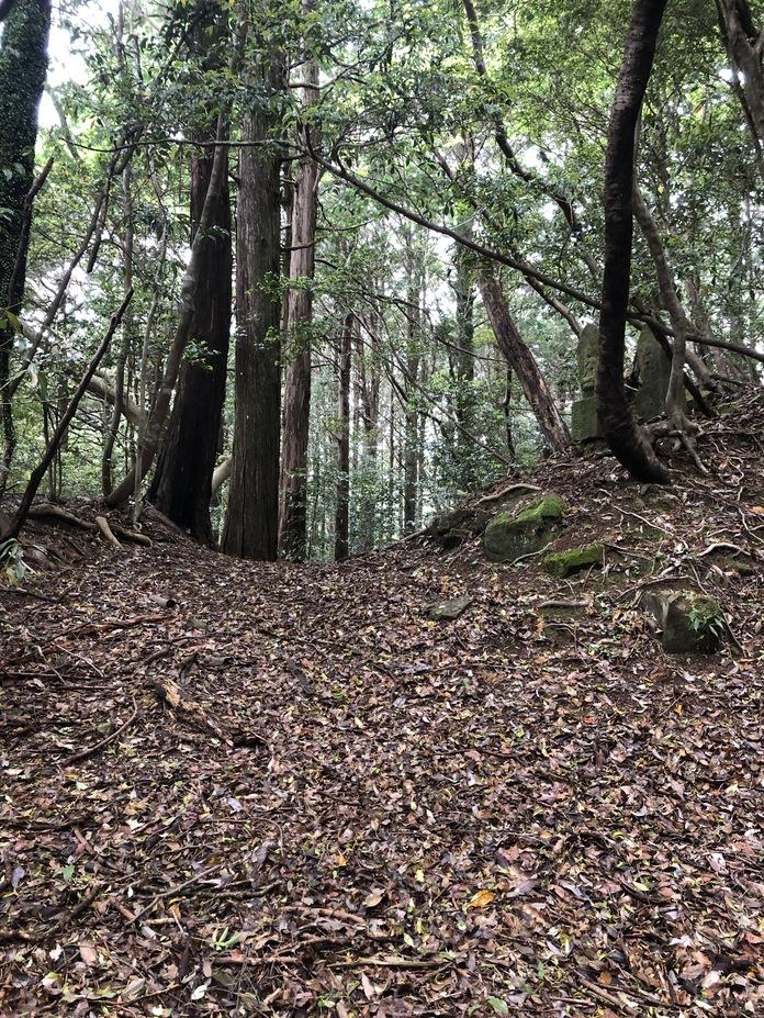 窪川城