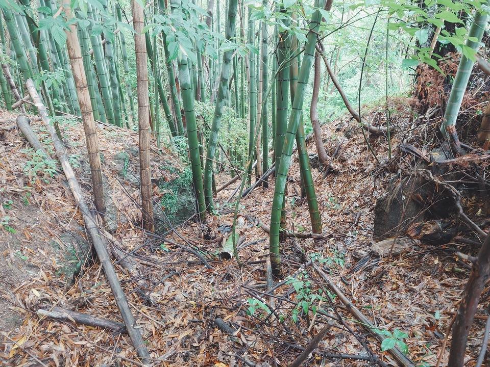 萩森城
