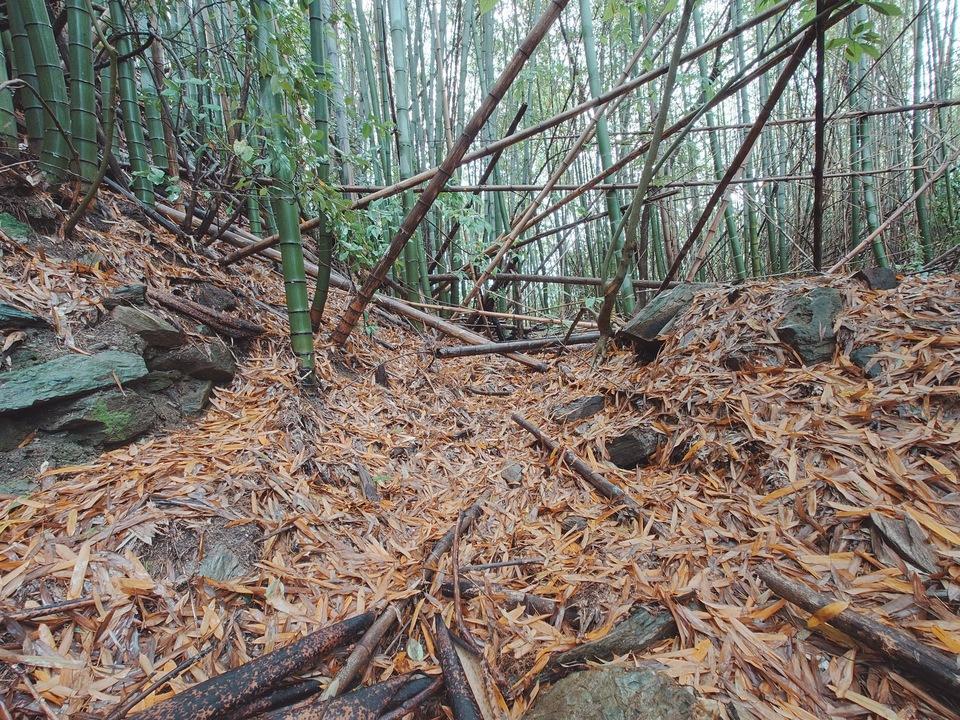 萩森城
