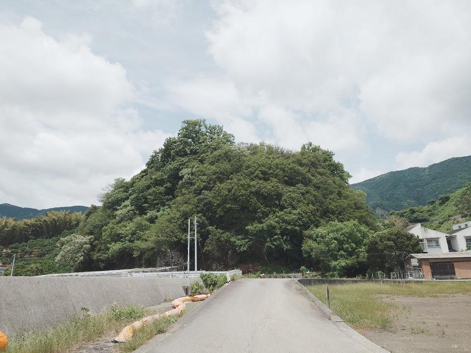 法華津本城