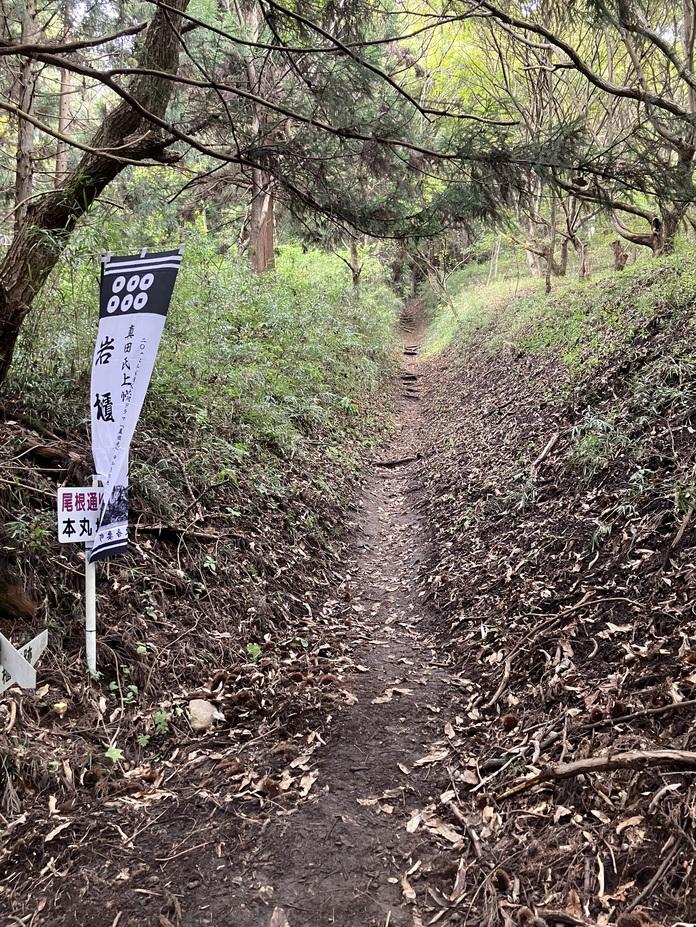 岩櫃城