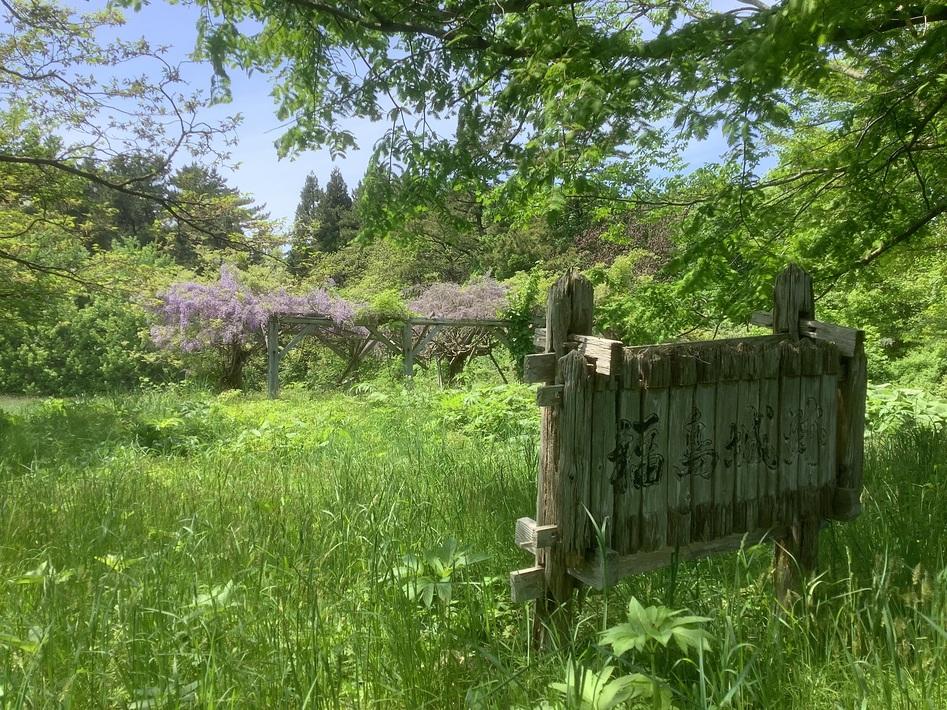 福島城