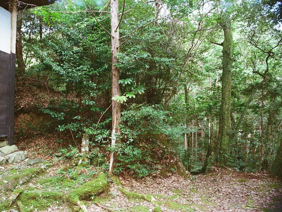 東川別役城