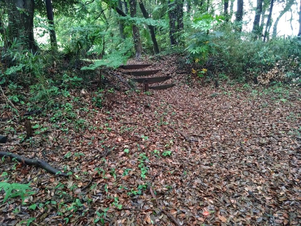高井城