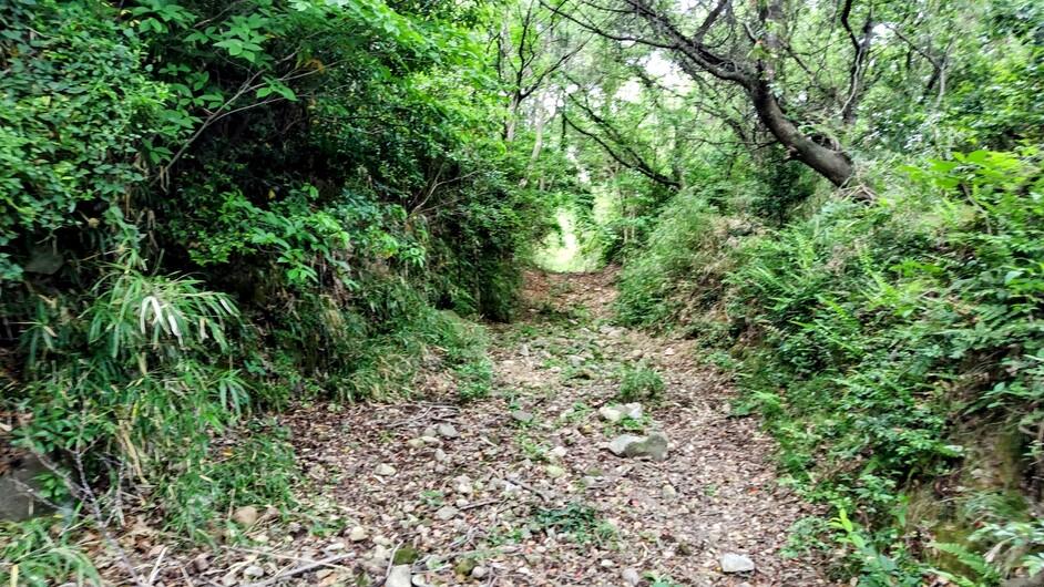 光岡城