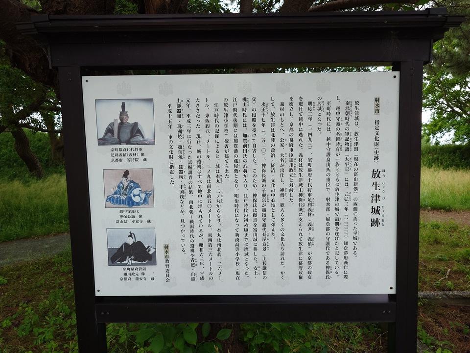 放生津城