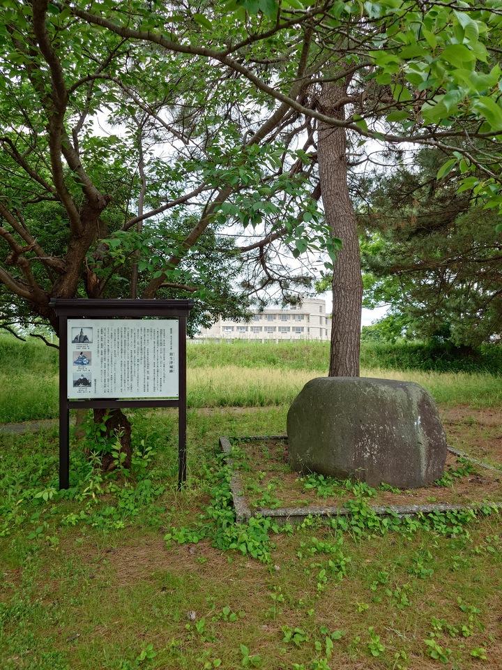 放生津城