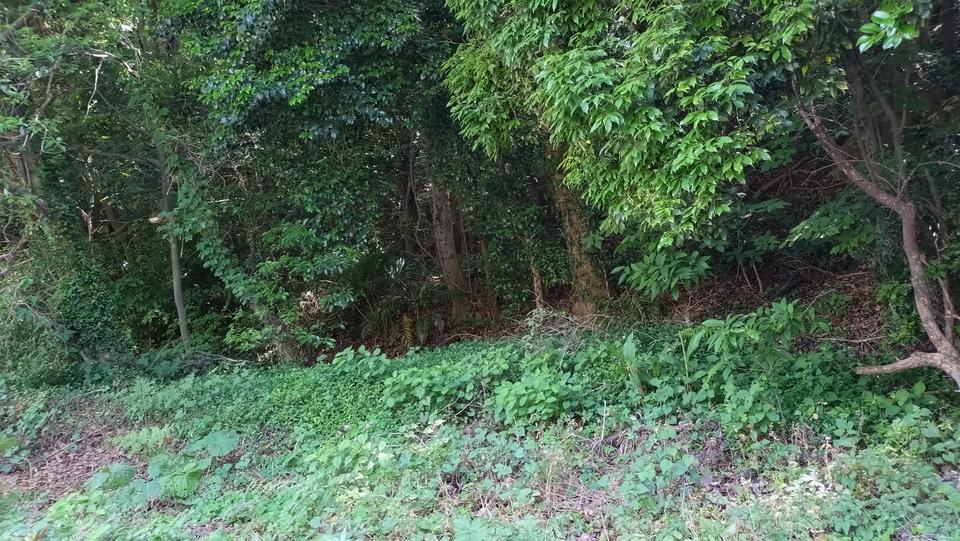 引地山城